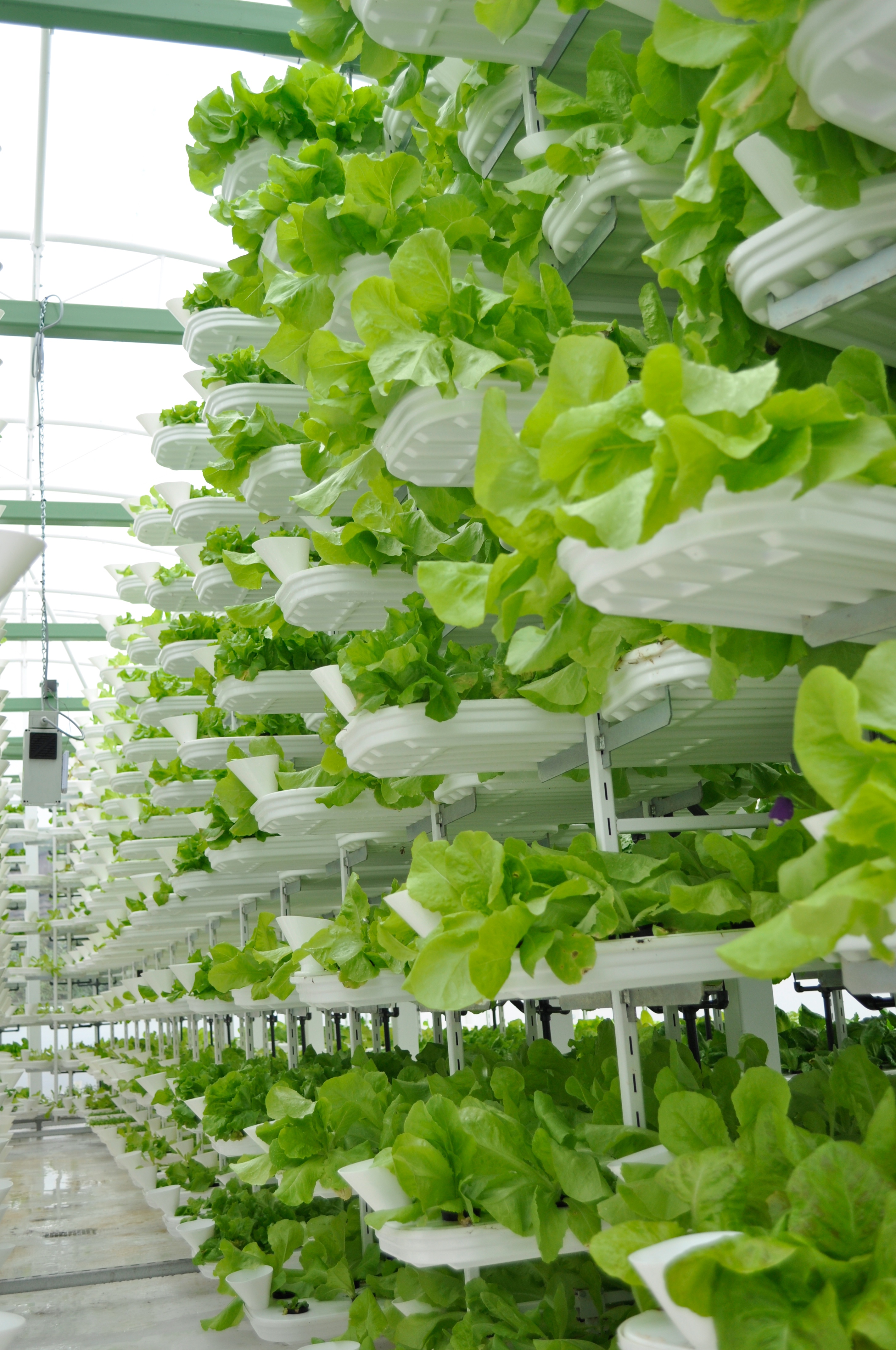 Vertical farming concept