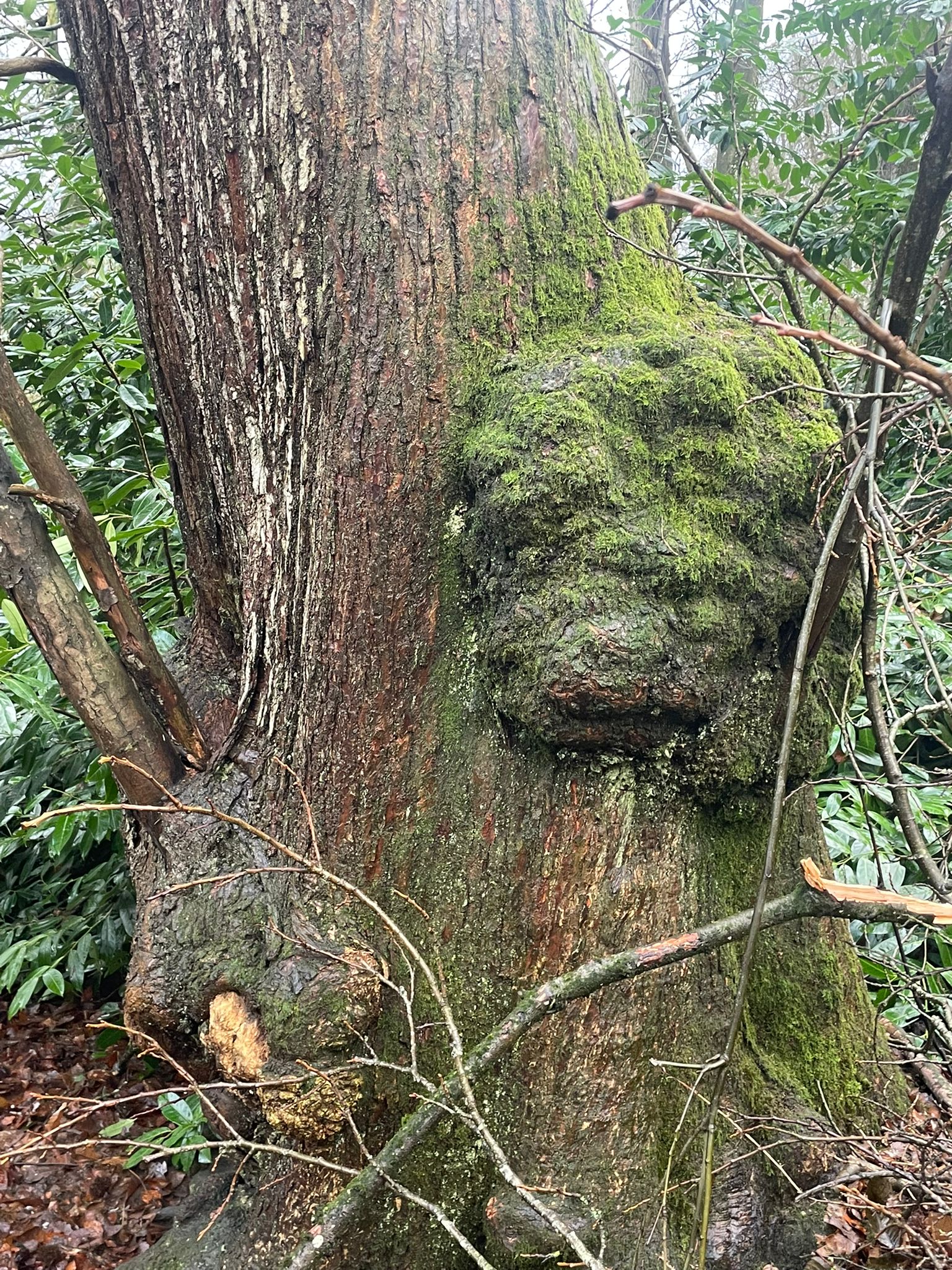 Long-term environmental context